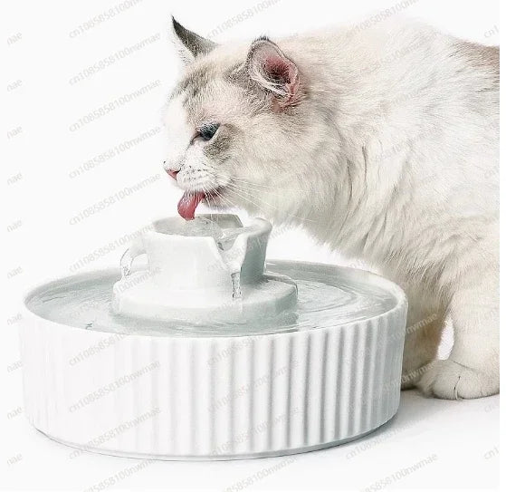 Ceramic Cat Water Fountain Ceramic Capacity Automatic