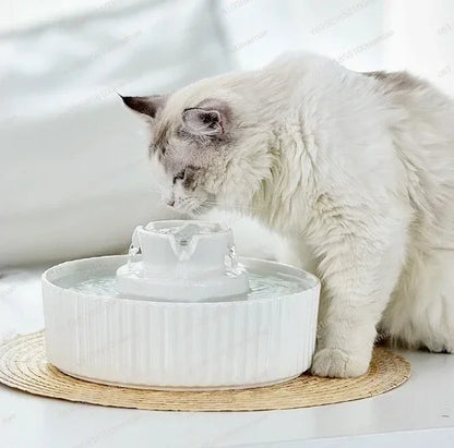 Ceramic Cat Water Fountain Ceramic Capacity Automatic